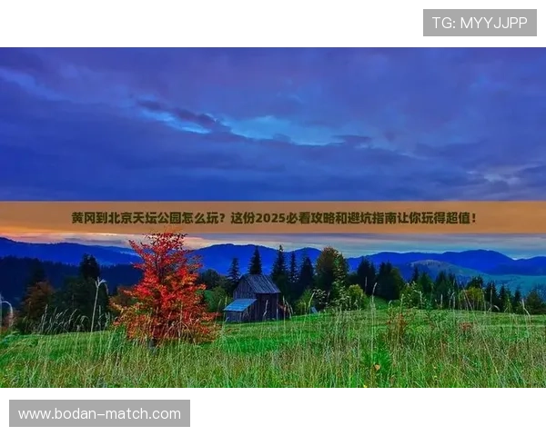 足球彩票与数字高频玩法避坑指南极速提现防骗